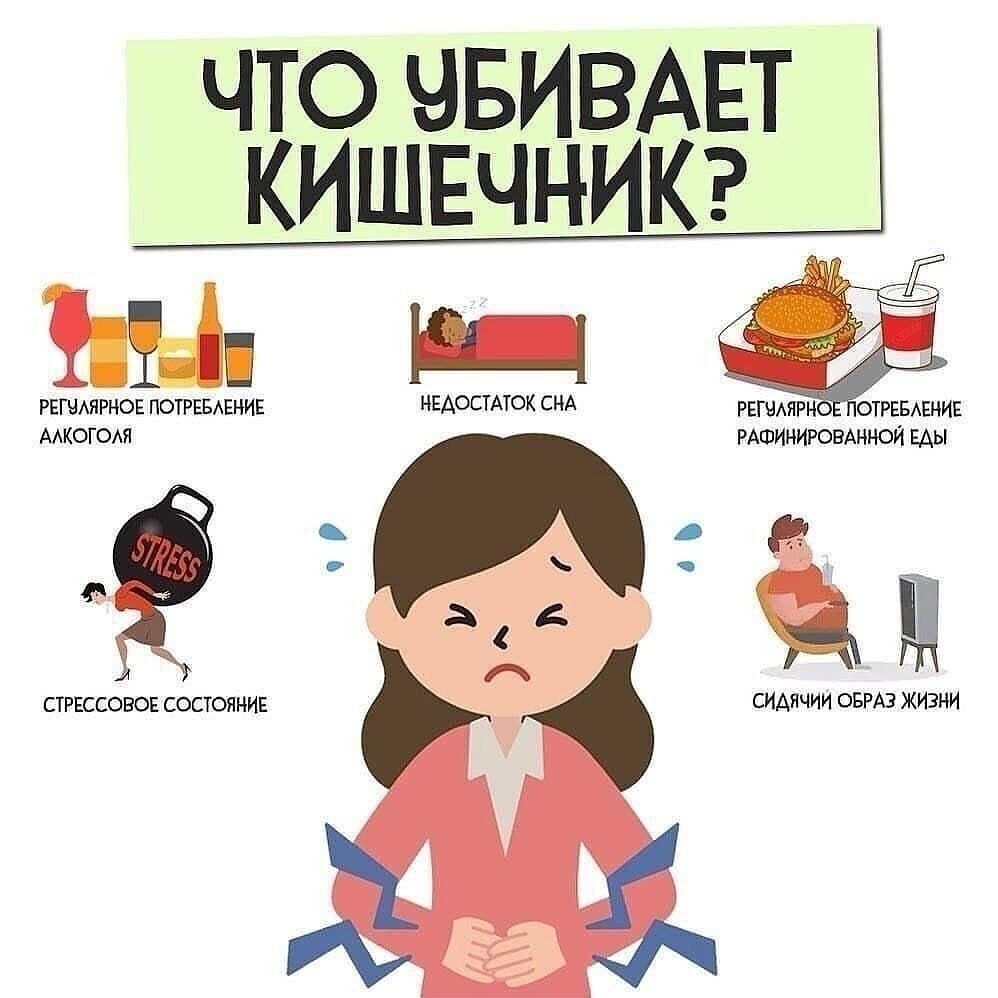 Правильное питание, здоровый образ жизни – основа крепкого здоровья и долголетия.